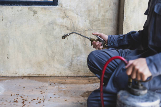 Pest Control Cost in Mi Wuk Village, CA